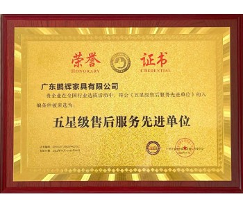 五星級售后服務(wù)先進單位